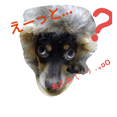 [LINEスタンプ] tiwakkusu maro