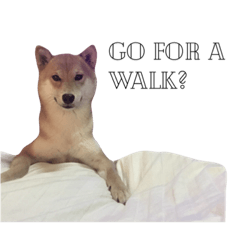 [LINEスタンプ] salmon shiba