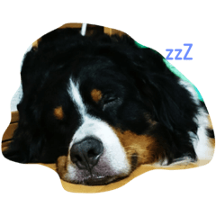 [LINEスタンプ] れおんぼん助