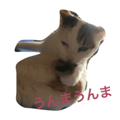[LINEスタンプ] 変なみーちゃん