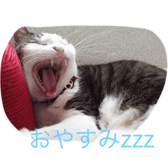 [LINEスタンプ] Empress cats 2
