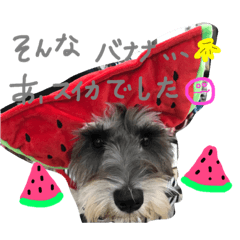 [LINEスタンプ] ジャンツム2 