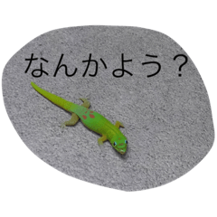[LINEスタンプ] アニマルズです 