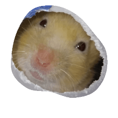 [LINEスタンプ] 鶏の足 