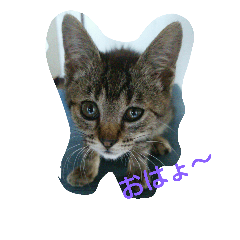 [LINEスタンプ] ナミ