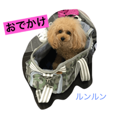 [LINEスタンプ] ミルのまいにち。 
