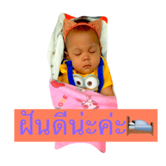 [LINEスタンプ] orgus 555 
