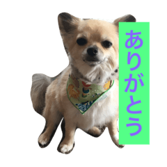 [LINEスタンプ] Leonyarow