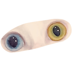 [LINEスタンプ] オッドアイ猫とヒョウモントカゲモドキ