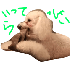 [LINEスタンプ] トイプージルとベルのあいさつ