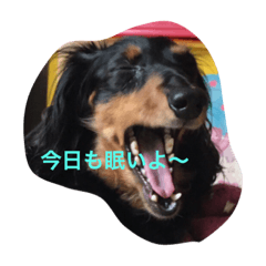 [LINEスタンプ] ラブの日々