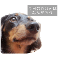 [LINEスタンプ] トッティ