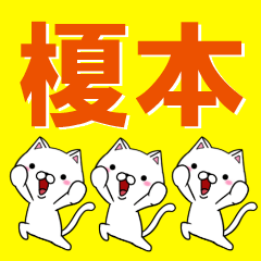 [LINEスタンプ] 超★榎本(えのもと・えもと・えいもと)