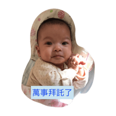 [LINEスタンプ] ~ひまわり~