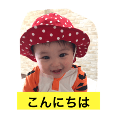 [LINEスタンプ] ぴょんこチ〜 あいさつ 1