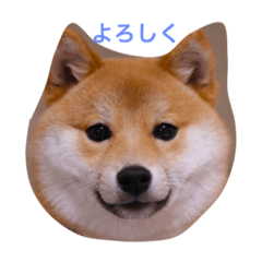 [LINEスタンプ] mamdsiba