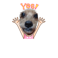 [LINEスタンプ] KORON210