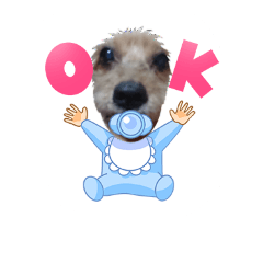 [LINEスタンプ] 赤ちゃんコロン