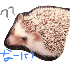 [LINEスタンプ] ハリネズミの楓と颯