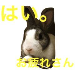 [LINEスタンプ] うさぎのみのる