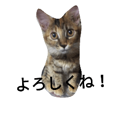 [LINEスタンプ] モナコ