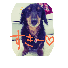 [LINEスタンプ] poko-chan