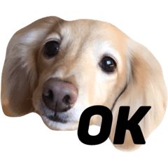 [LINEスタンプ] まろまろ