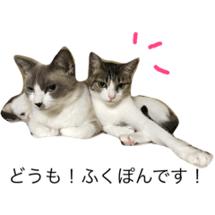 [LINEスタンプ] ジェシカとミー福ぽん 第1弾