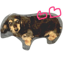 [LINEスタンプ] puure＆ramu