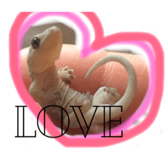 [LINEスタンプ] ぺろちゃん すきすき