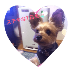[LINEスタンプ] 今日ものんびり〜✨癒しのイヴくん！