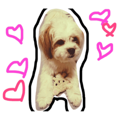 [LINEスタンプ] はなちゃん1