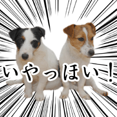 [LINEスタンプ] がうすた