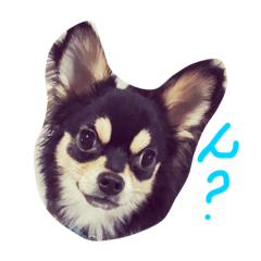[LINEスタンプ] ぺぽロック