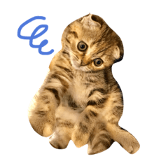 [LINEスタンプ] ctyri2