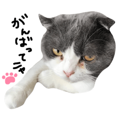 [LINEスタンプ] ガブ