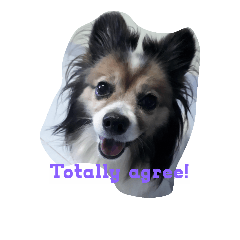 [LINEスタンプ] papbiejung