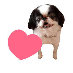 [LINEスタンプ] ぼくは 狆の かい です。②