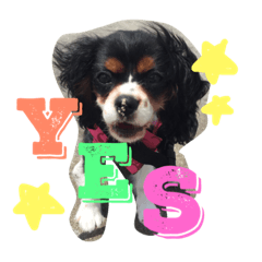 [LINEスタンプ] ポポとララ 2