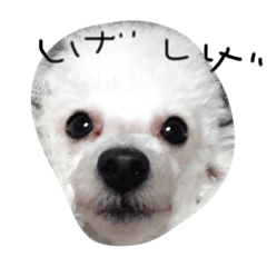 [LINEスタンプ] しげおとトロ