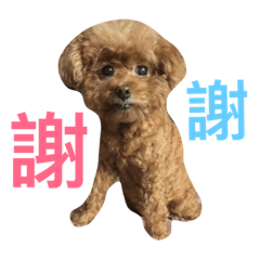 [LINEスタンプ] Samuel's Life