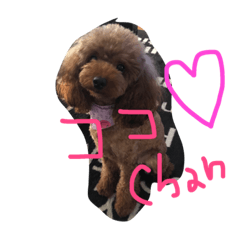 [LINEスタンプ] モカココ