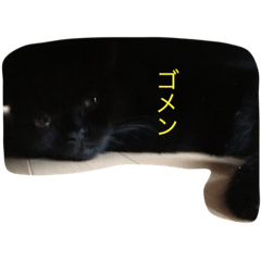 [LINEスタンプ] 黒猫 しょこらさん