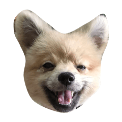 [LINEスタンプ] Two stupid