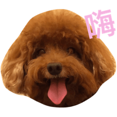 [LINEスタンプ] My sweet momo