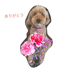 [LINEスタンプ] くるみちゃんのほほんlife