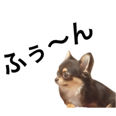 [LINEスタンプ] tarowith...3