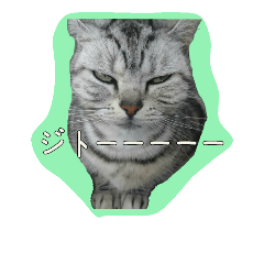 [LINEスタンプ] ポコマリ4