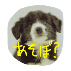 [LINEスタンプ] れいくんのスタンプ
