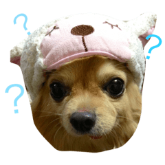[LINEスタンプ] もこたろ